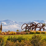 Foret-dArbres-Claude-Gilli